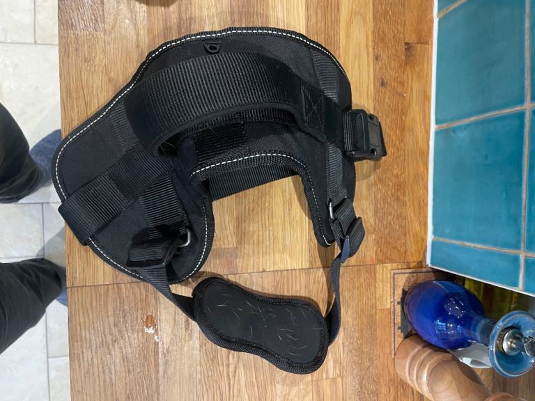 Dog harness large