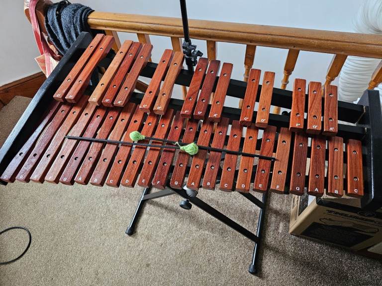 Xylophone 3 octaves