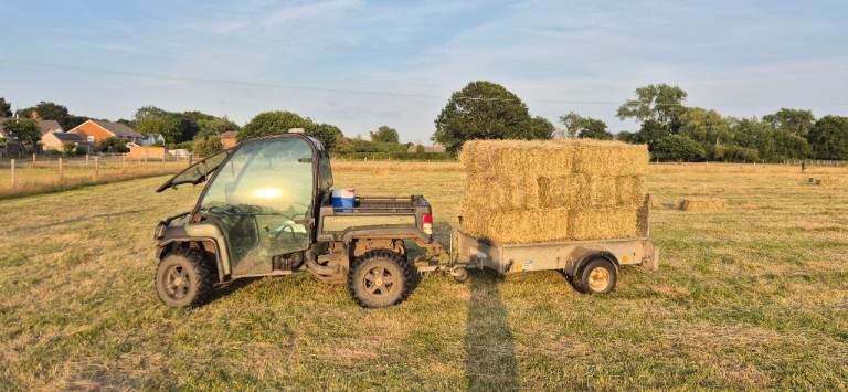 2026 Fresh Hay
