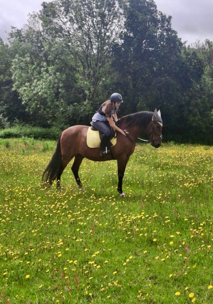 ⭐ STUNNING ANDALUSIAN REGISTERED PRE GELDING – ⭐