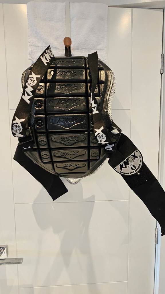 Back protector