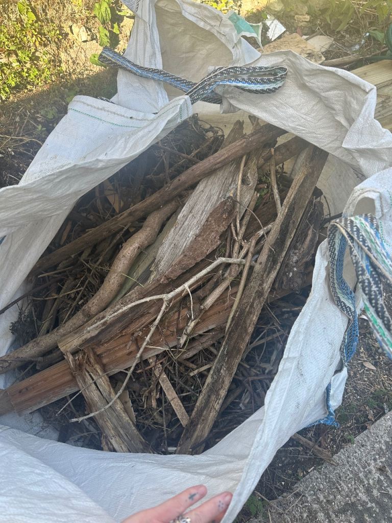 Twigs/logs