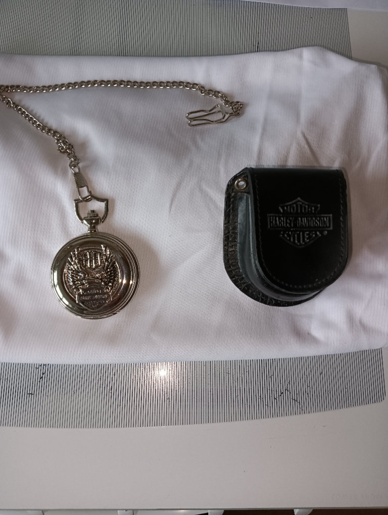 Harley Davidson hip watch