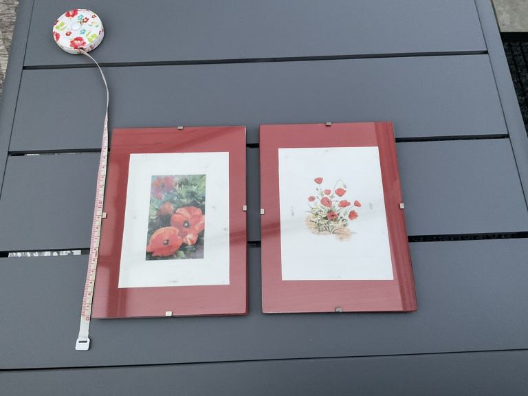 Set of two Poppy Photo’s in frames