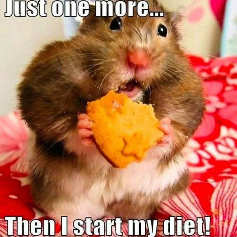 Whatsapp for Musicians in London :)