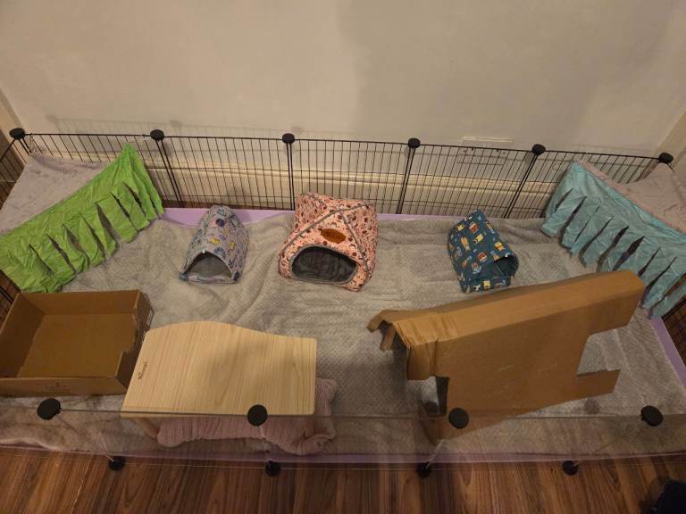 Kavee C and C cage plus fleece blanket