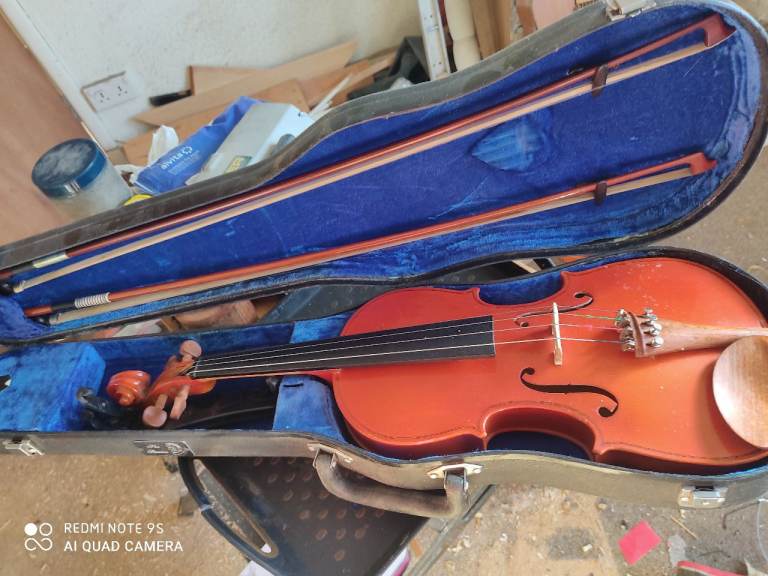 Violin