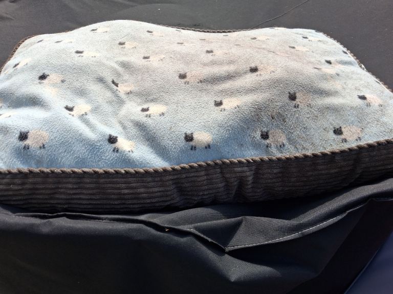 Haskins dog bed