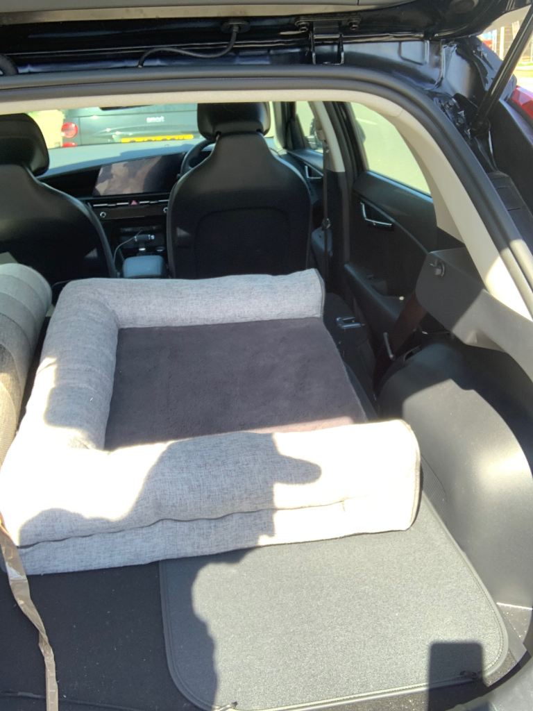 Cat bed £20 like new 