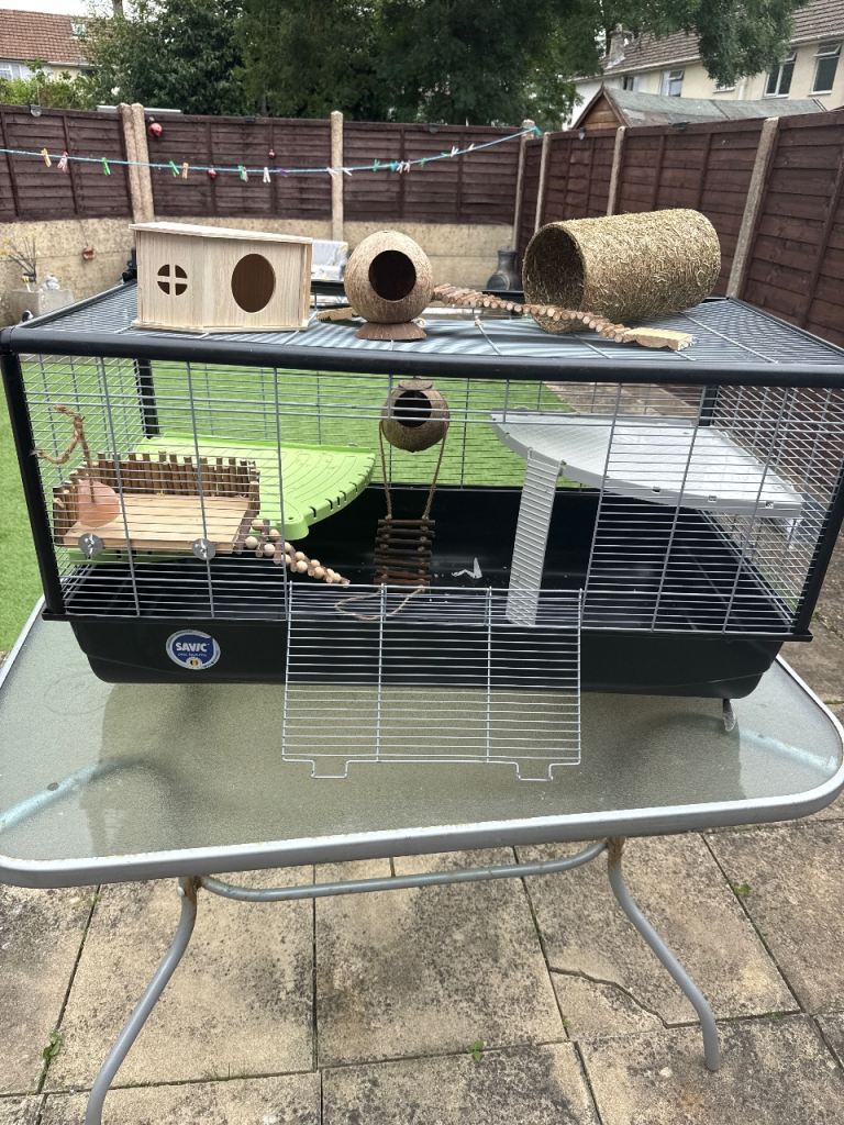 Hamster cage