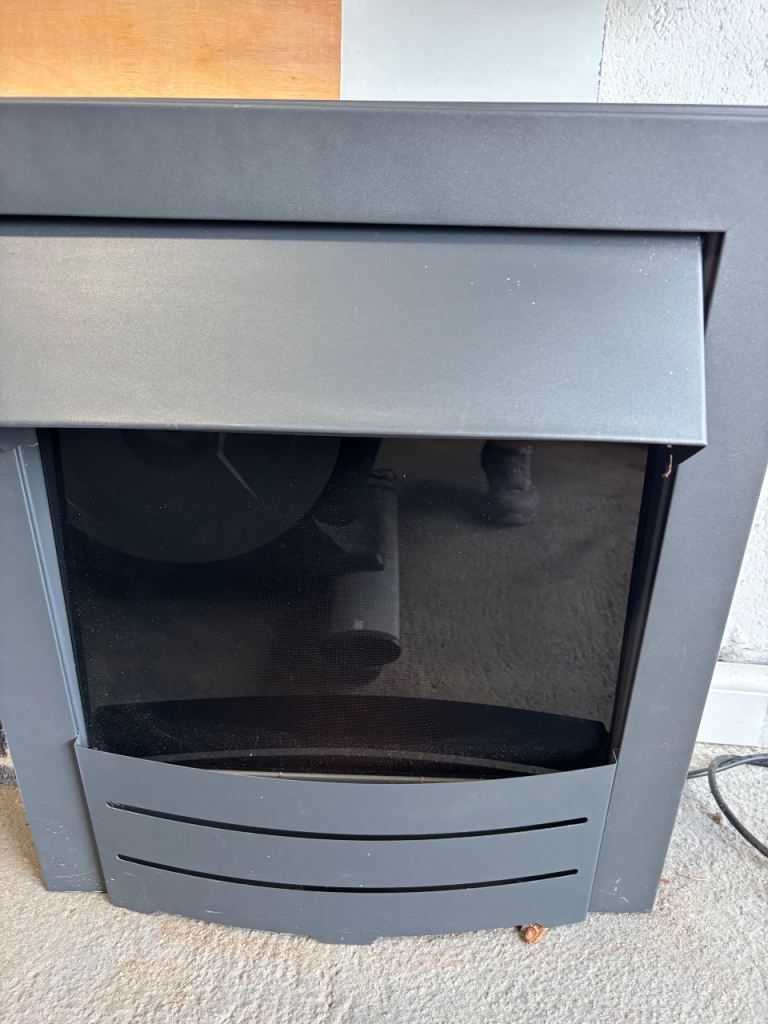 Electric fire insert 