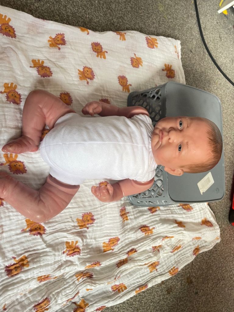 Reborn dolls 