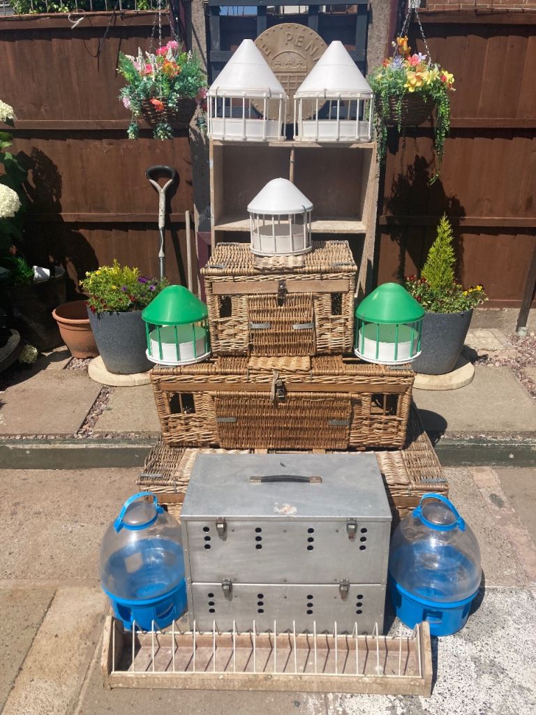 Pigeon Loft Accessories