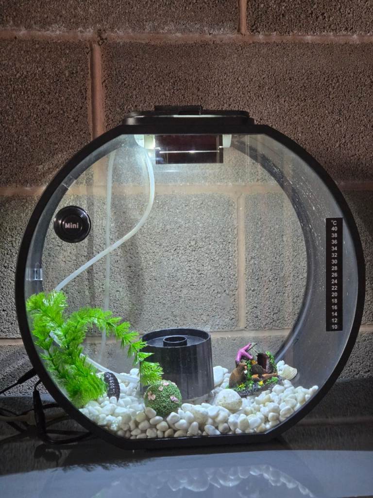 Fish tank