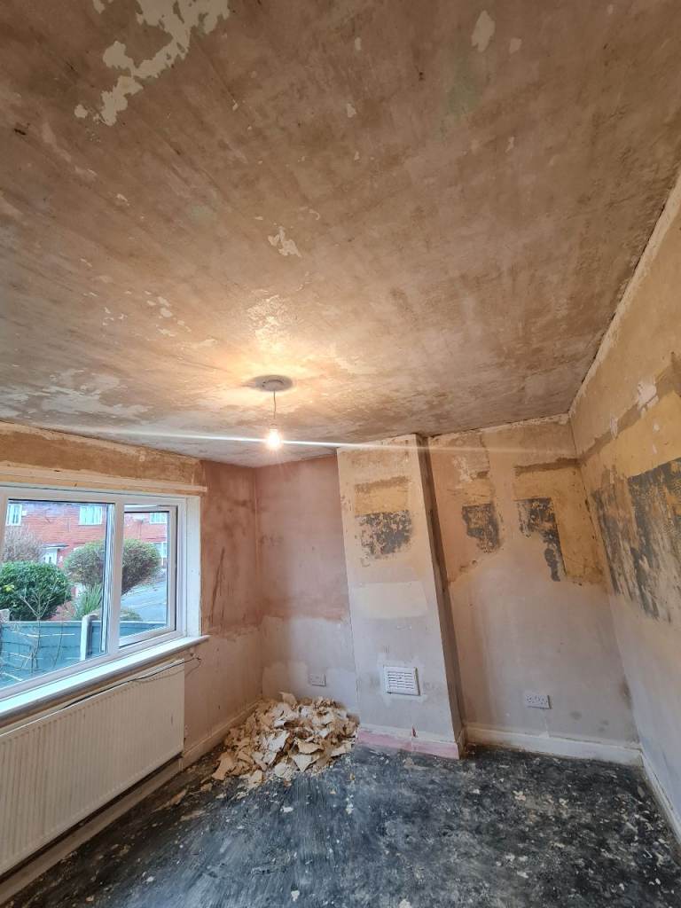 painting and decorating services plaster services