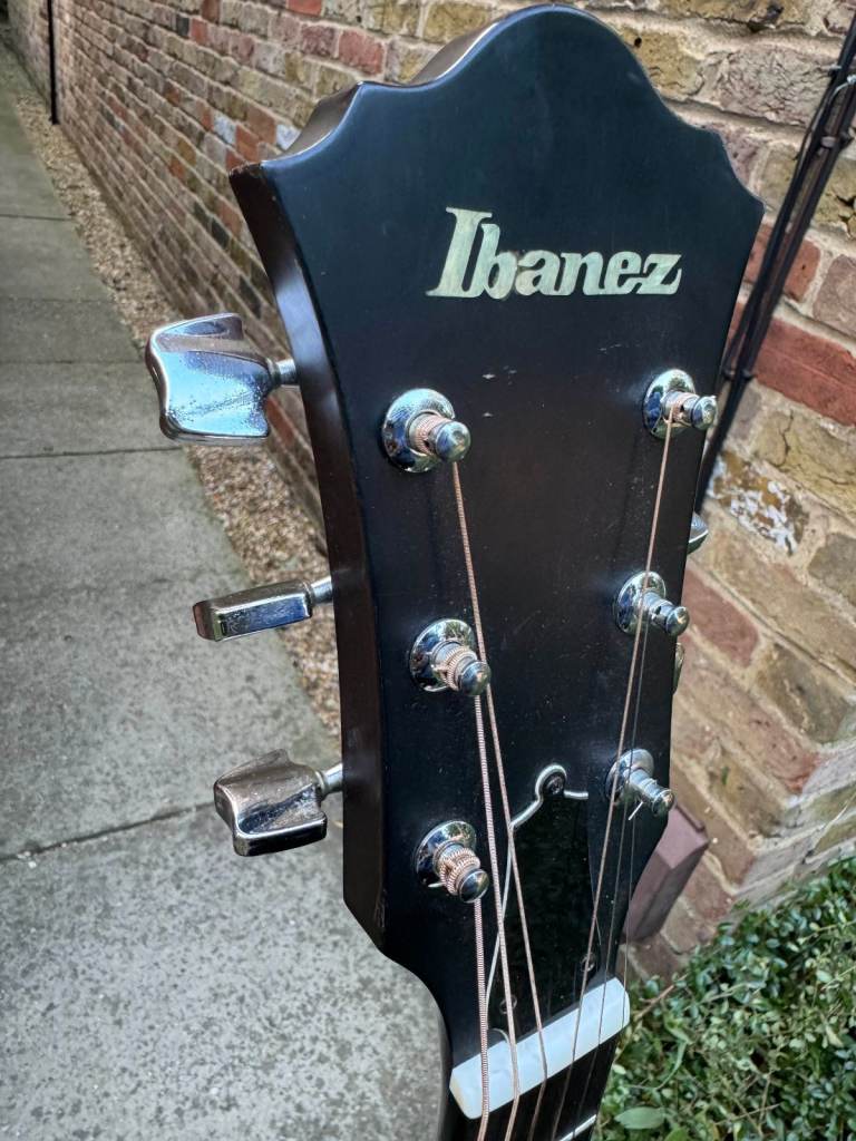 Ibanez V220 Vintage Series (Japan, 1980s) + Schatten HFN passive piezo pickup