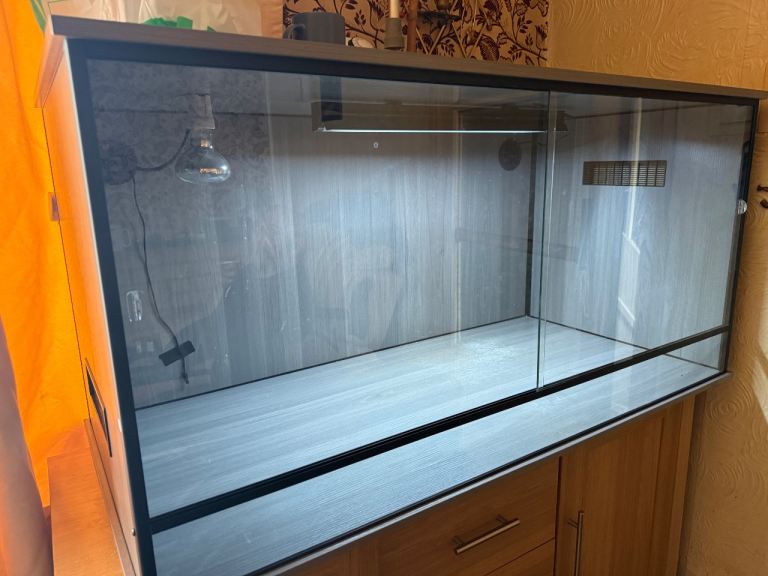 4 x 2 x 2 Beard Dragon Vivarium Set Up
