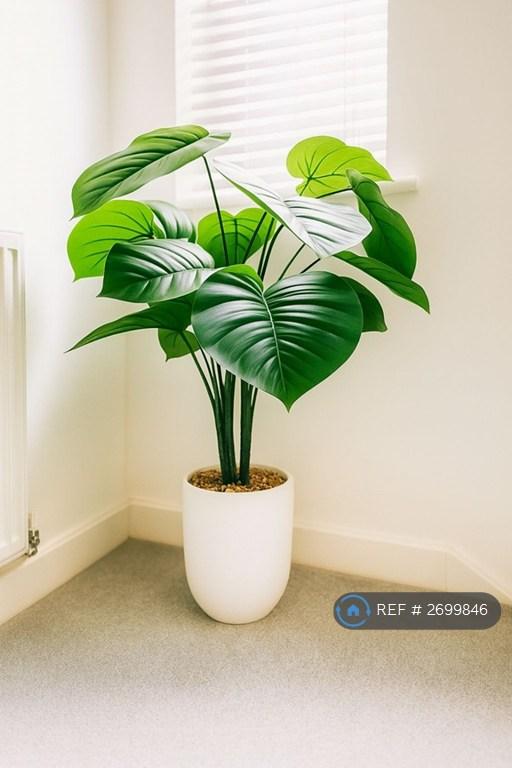 5 bedroom house in Port Stanley Close, Taunton, TA2 (5 bed) (#2699846)