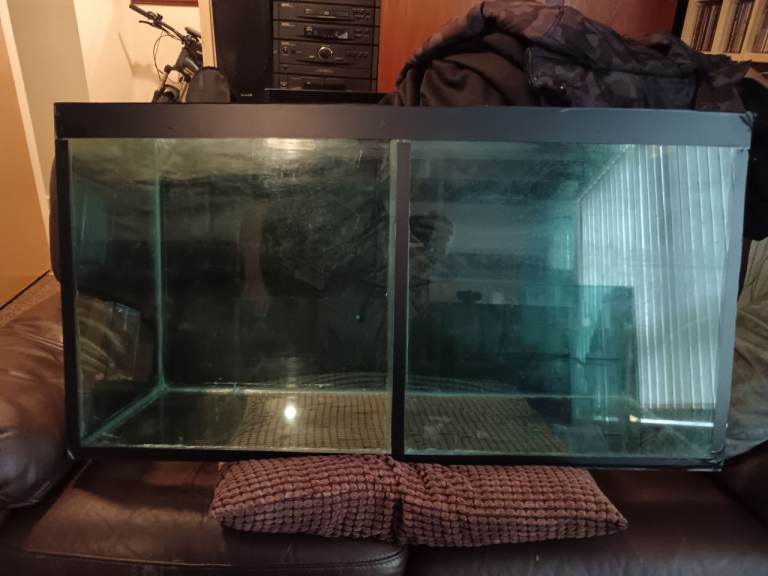 Fish tank divided into 2 sections 