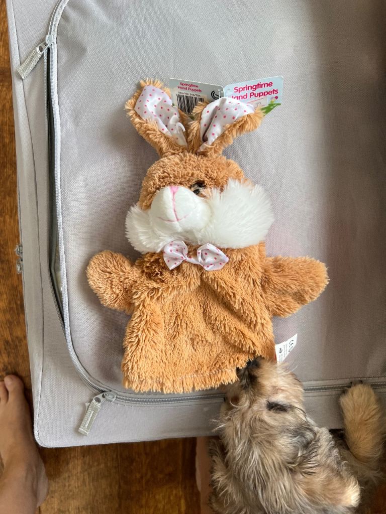 New Springtime Bunny Rabbit Hand Puppet