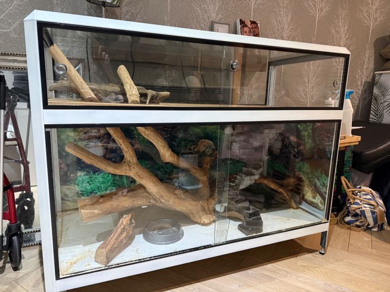 snake vivarium 