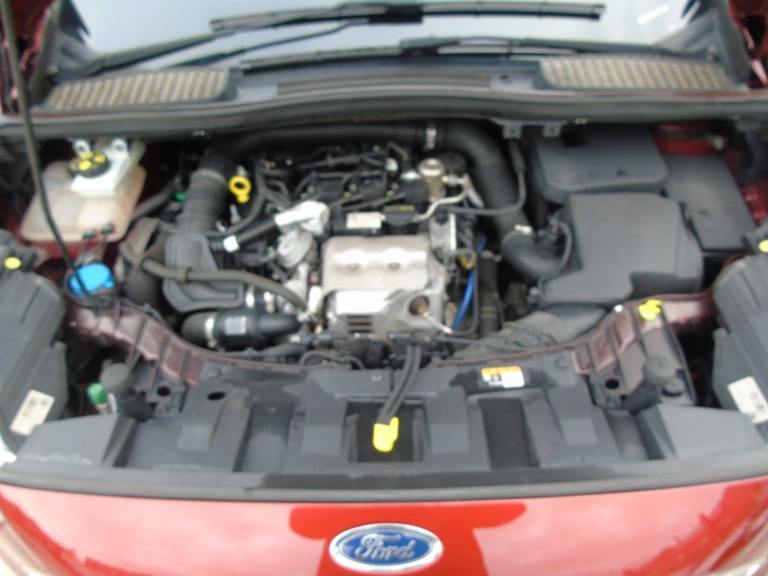 FORD C-MAX 2015 1.0 EcoBoost 125 TITA wetbelt done