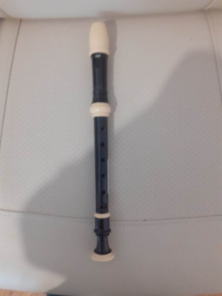 Recorder - perfect condition - hardly used - collect/deliver Winchester ( parking outside )