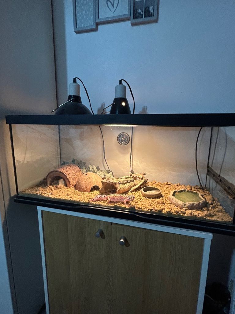 ZooMed Vivarium