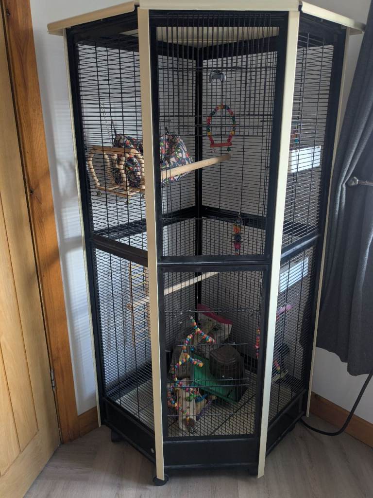 Bird cage 