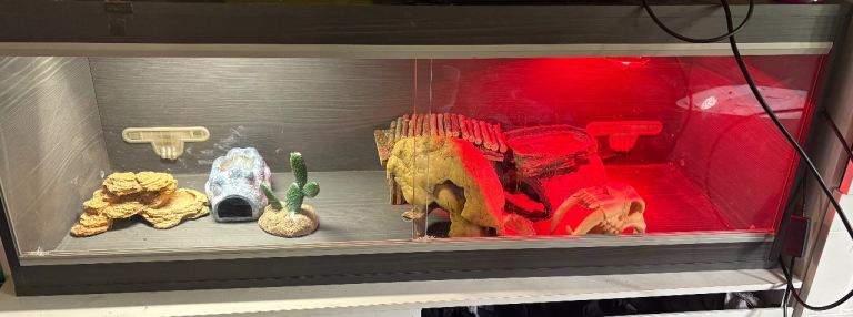 4ft vivarium