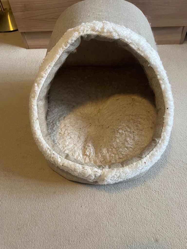 Cat Igloo