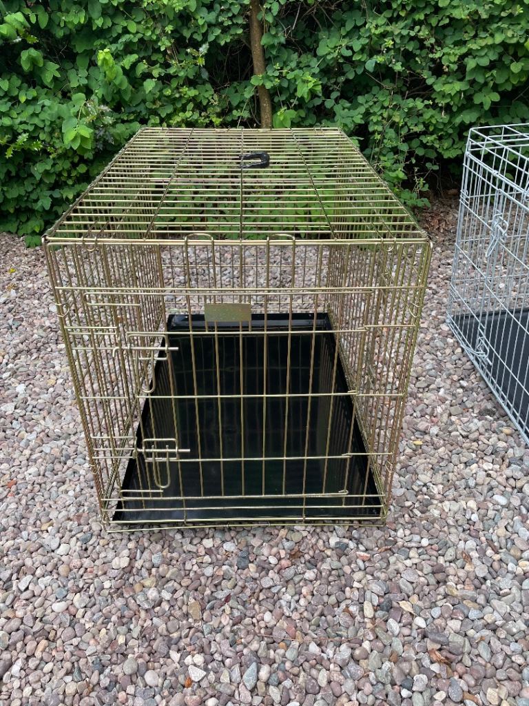Large dog crates