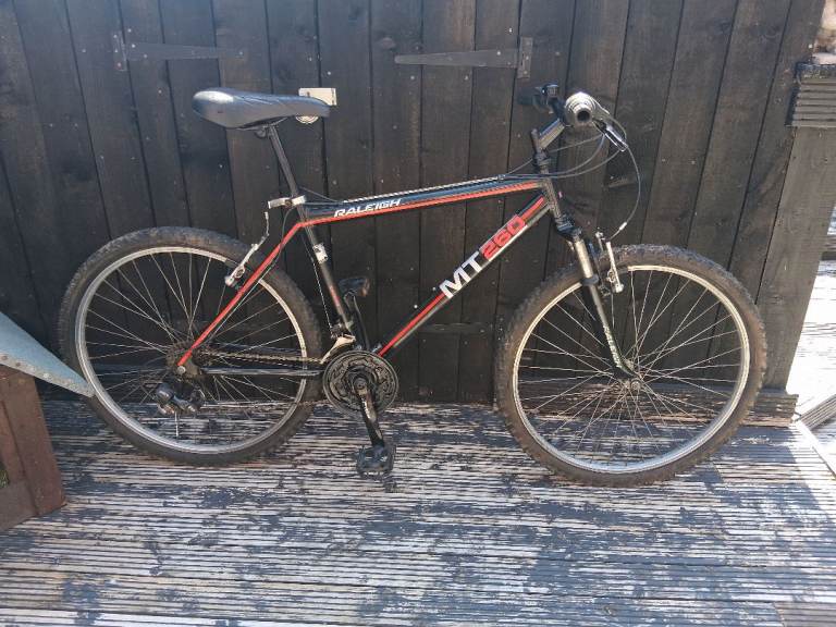 Adult Raleigh Mountain Bike
