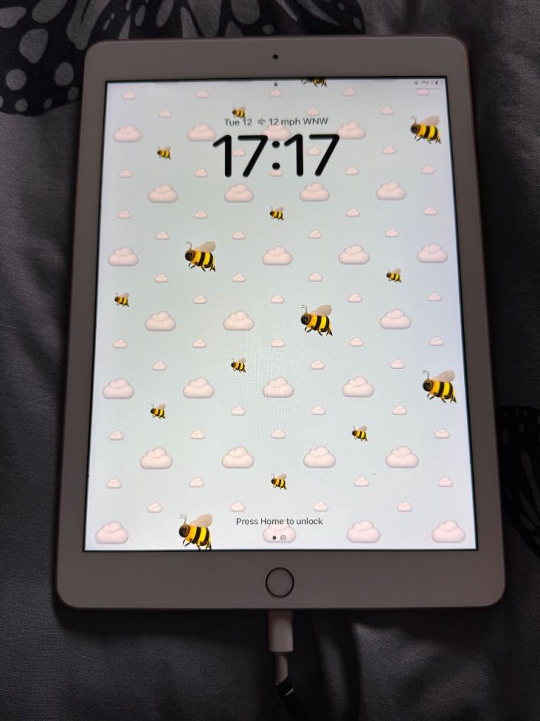 iPad 6th generation 