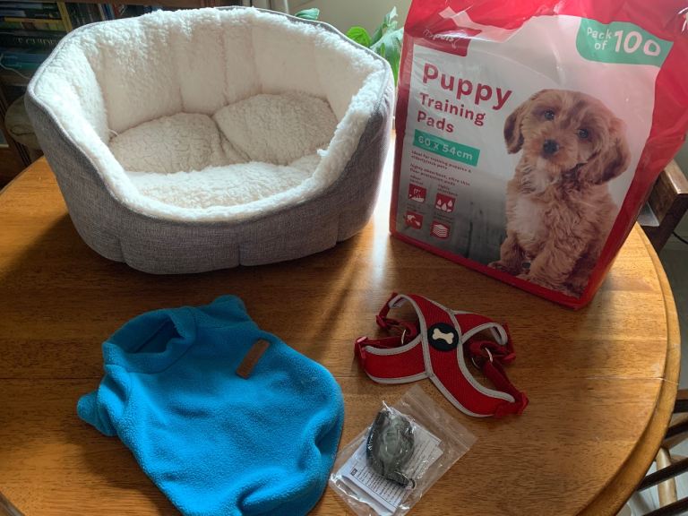 Puppy Dog bundle bed harness training pads 