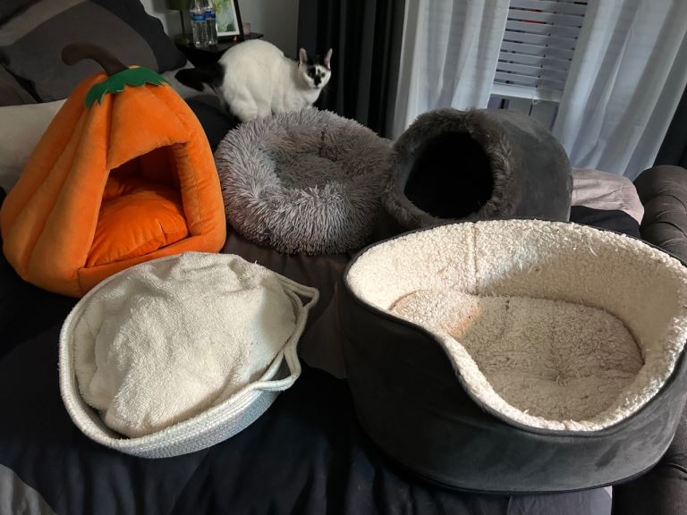 Pet beds 