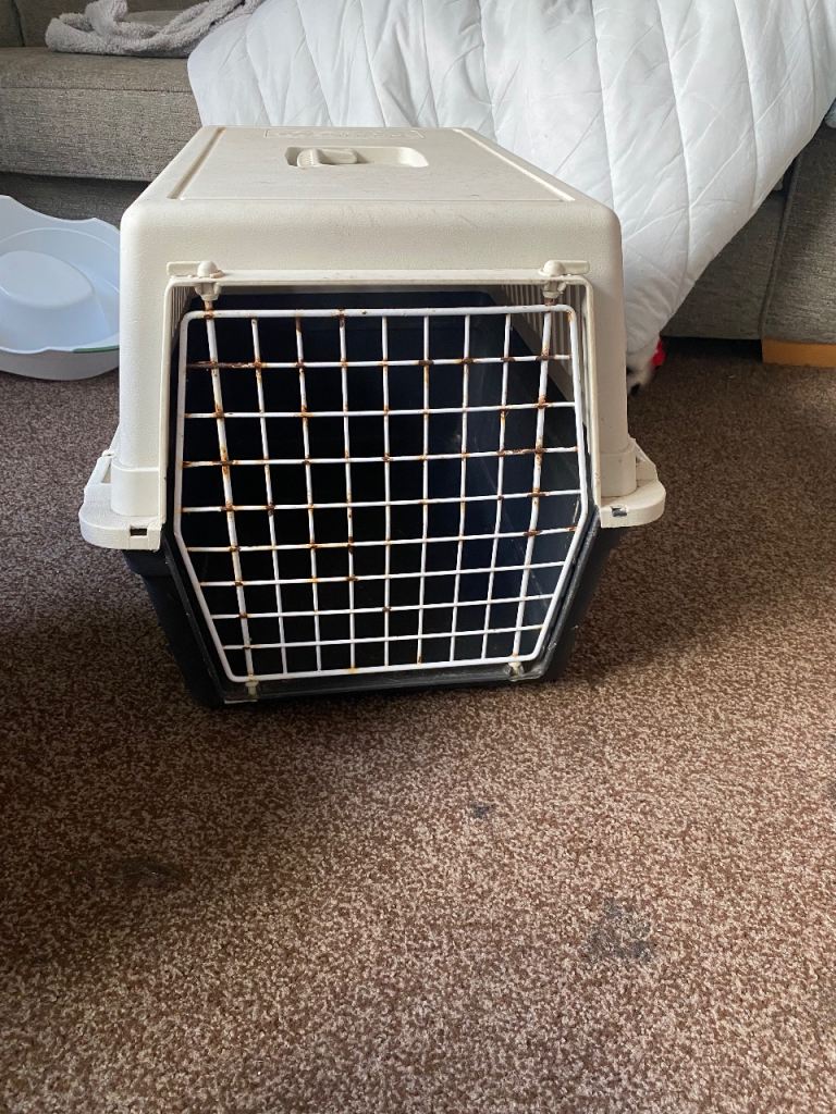Large cat carrier 
