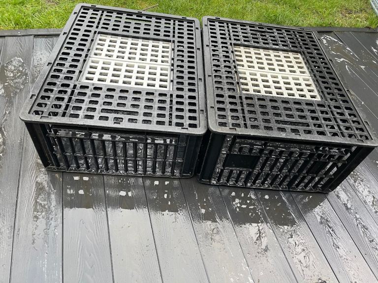 Poultry transport crates 