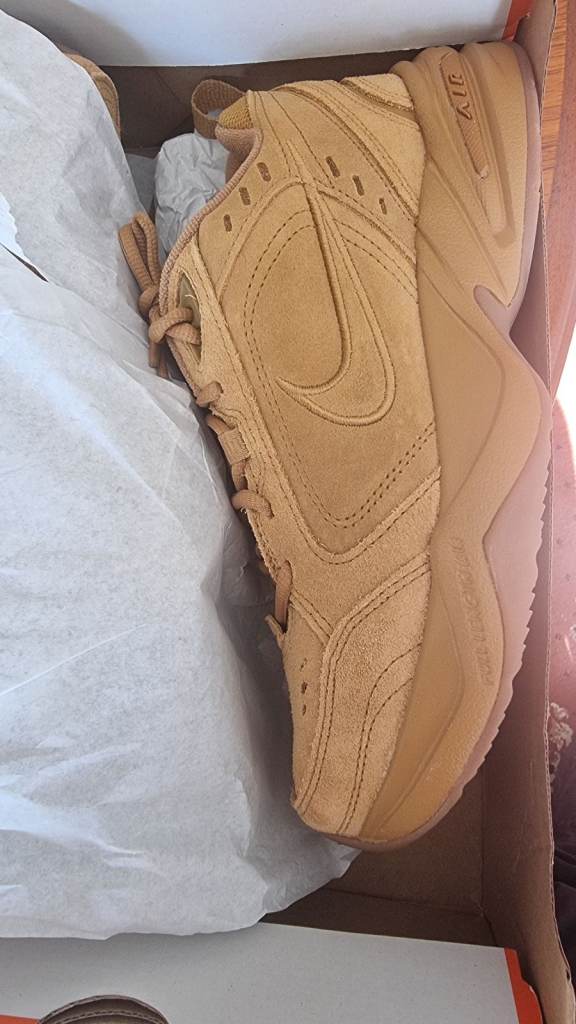 Nike air monarch se