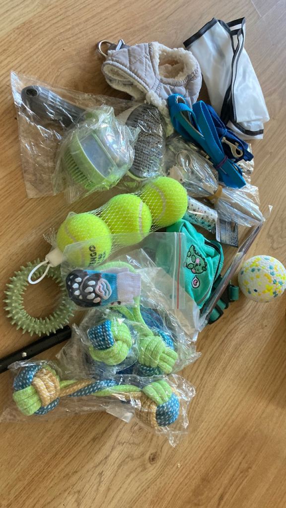Bundle of pet accessories + a carrier