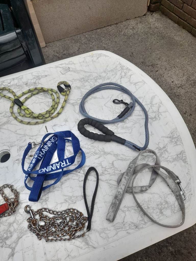 DOG LEADS 