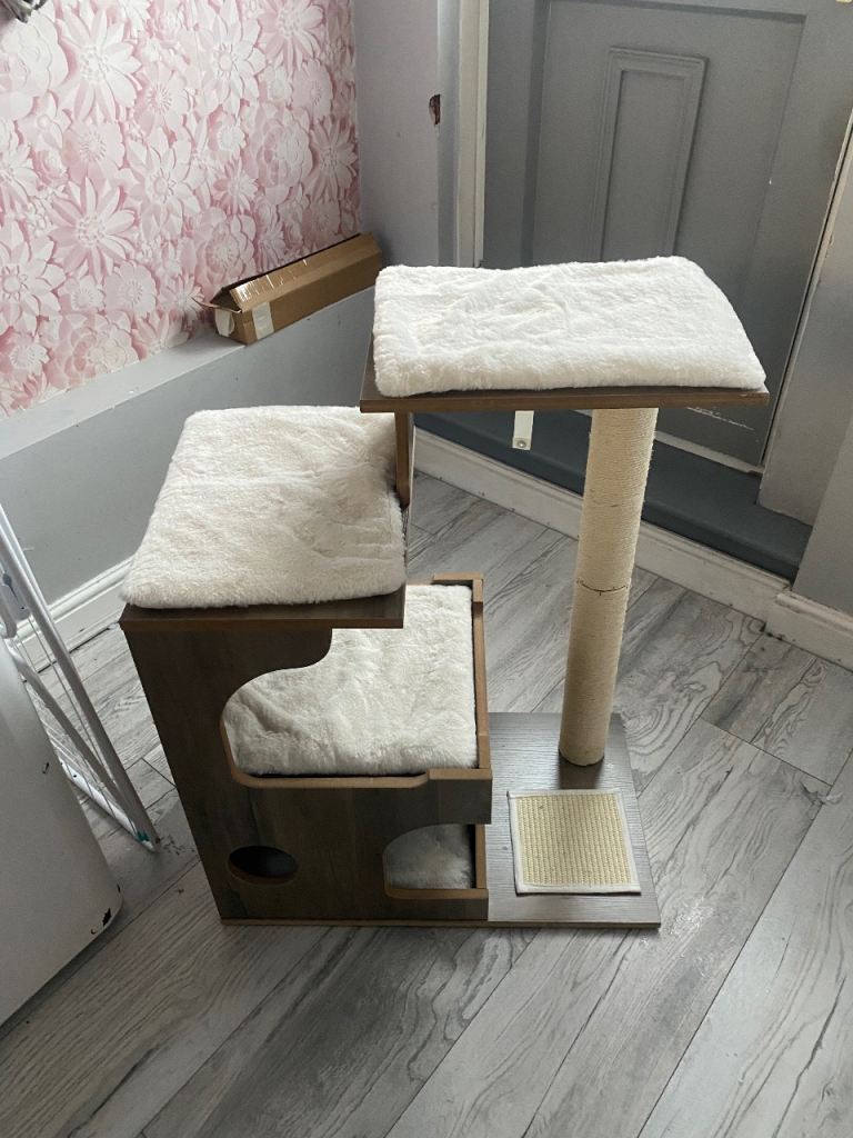 Cat climbing trees/platforms