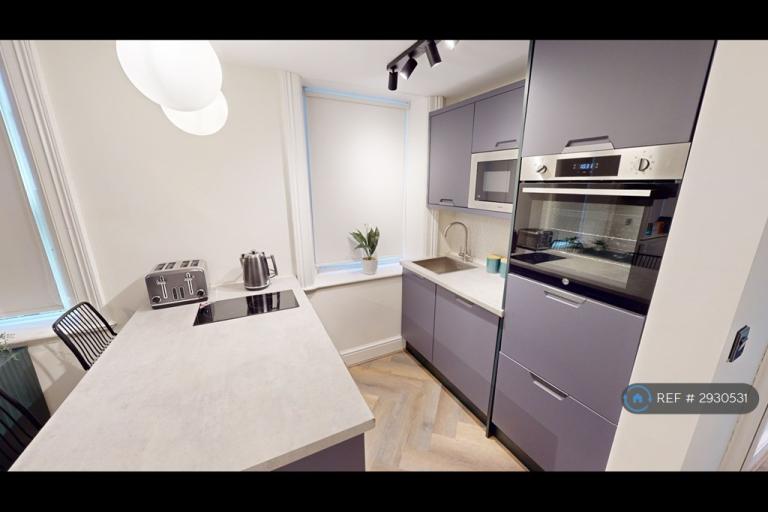 Studio flat in Rodney St, Liverpool, L1 (#2930531)
