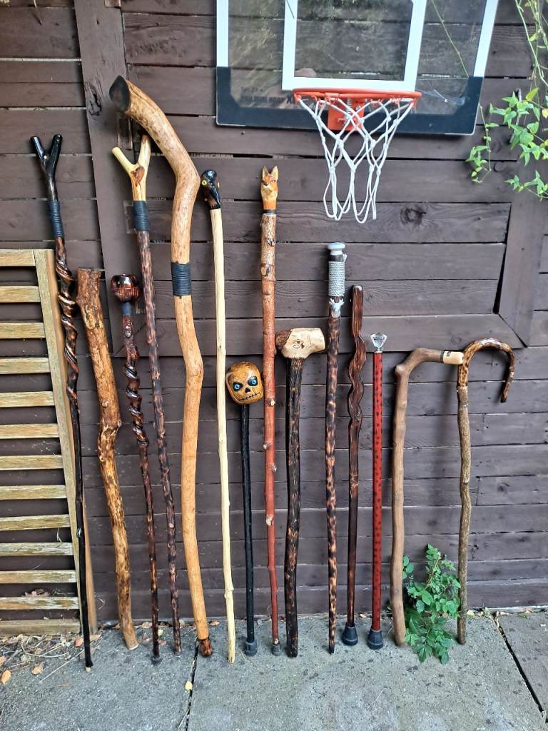 Walking sticks 