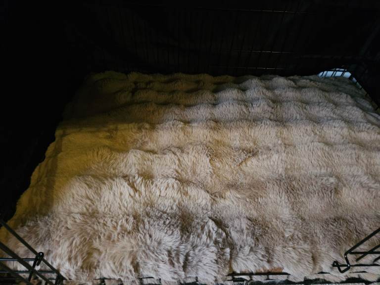 Scruffs alpine mattress large dog bed taupe brown