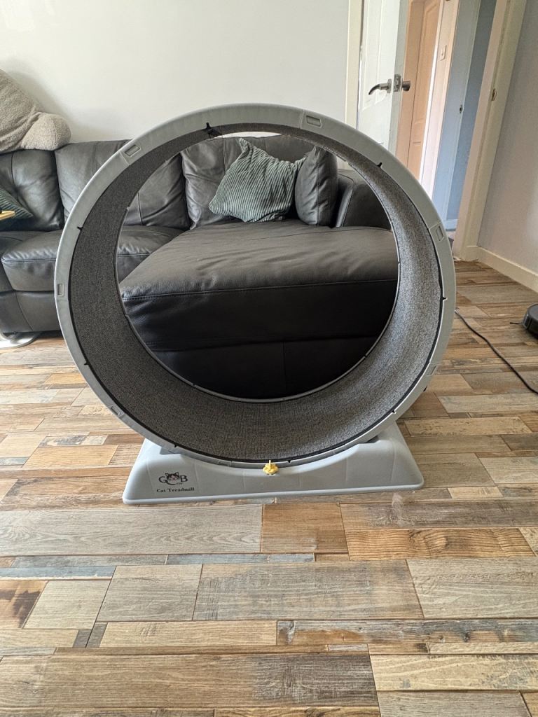 Cat wheel/treadmill