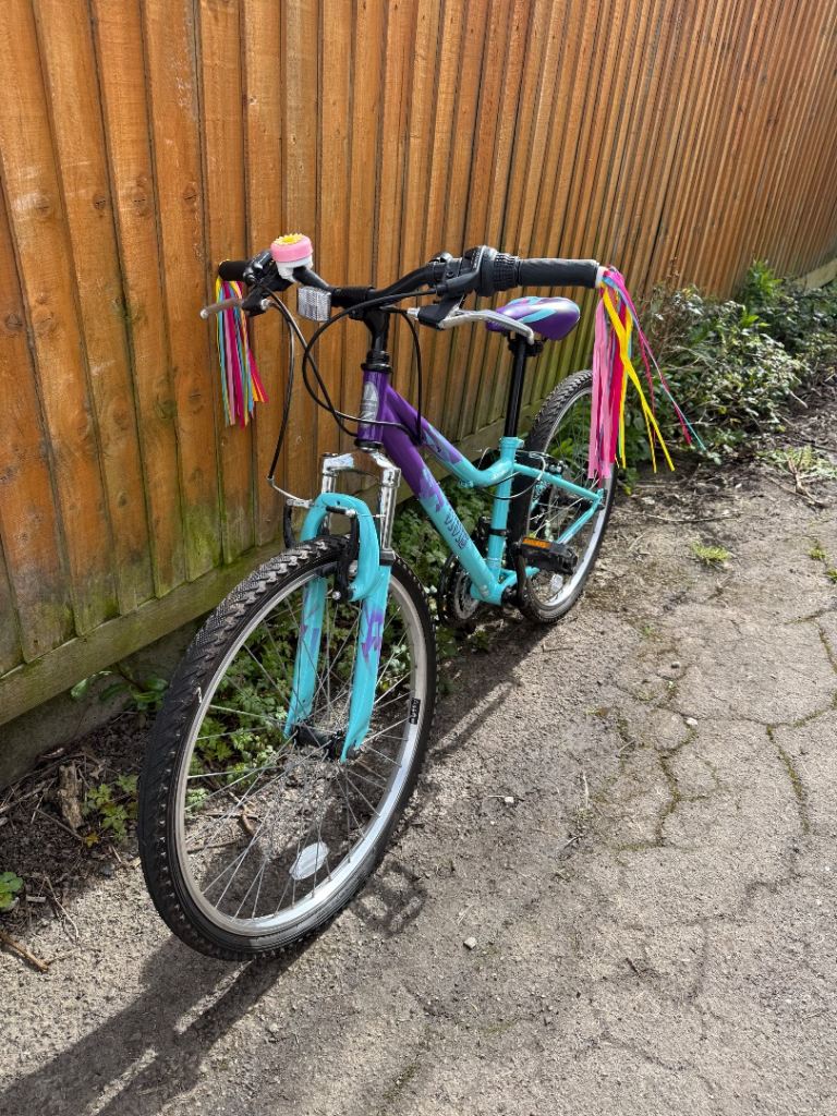 Junior mountain bike 