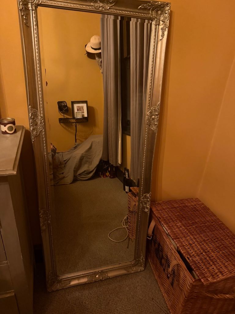 Large Silver Ornate Full-Length Mirror