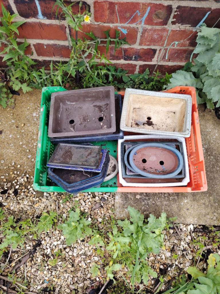 Bonsai pots