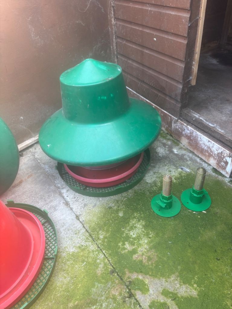 Pheasant and partridge feeders